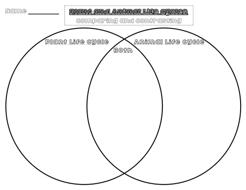 plant-and-animal-life-cycle-comparing-and-contrasting-teaching-resources