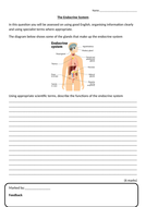 AQA GCSE Biology (Science) The Human Endocrine System Lesson by ...