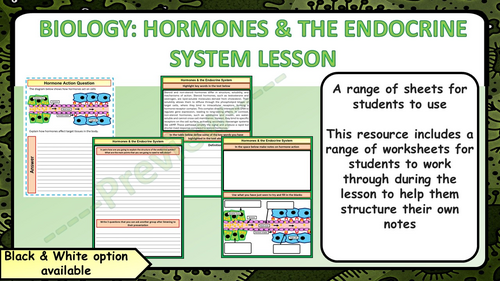 AQA GCSE Biology (Science) The Human Endocrine System Lesson | Teaching ...