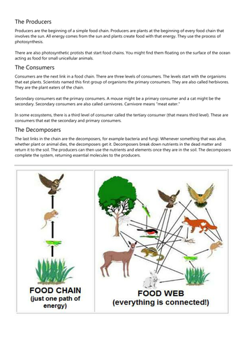 What is an ecosystem.