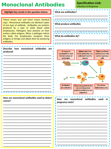 New AQA GCSE Biology Monoclonal Antibodies Lesson | Teaching Resources
