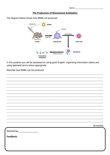New AQA GCSE Biology Monoclonal Antibodies Lesson | Teaching Resources