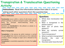 KS4 AQA GCSE Biology (Science) Transport in Plants Lesson & Activities ...