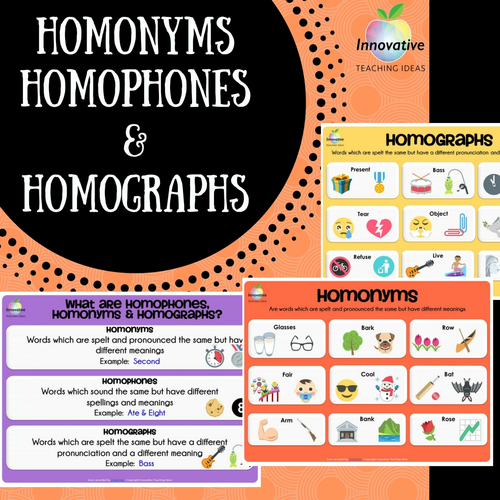 Homonyms, Homophones & Homographs Poster Series by