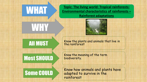AQA Geograhy 2016 - The Living World - Rainforests fully resourced lessons