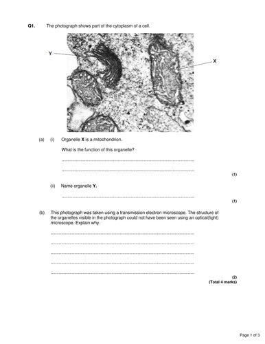 New AQA (2016) Year 1 Biology (AS) - Eukaryotic Cells - Flipped ...