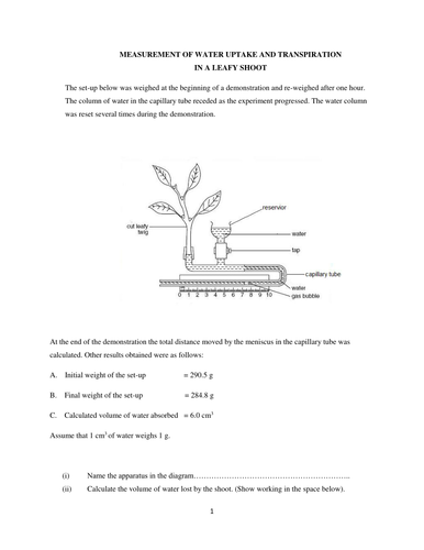 Measurement of water uptake and transpiration in a leafy shoot