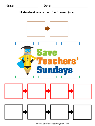 Where Our Food Comes From KS1 Lesson Plan and Worksheet | Teaching