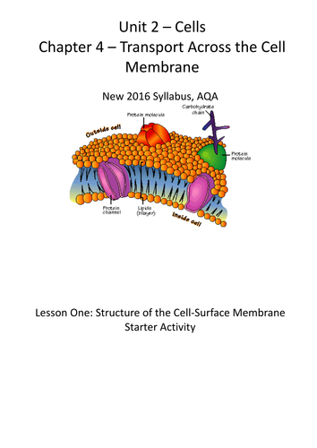 New AQA (2016) Year 1 Biology (AS) - Structure of the Cell Surface ...