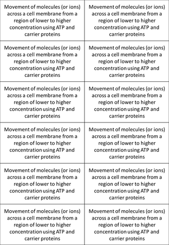 New AQA (2016) Year 1 Biology (AS) - Active Transport - Flipped ...