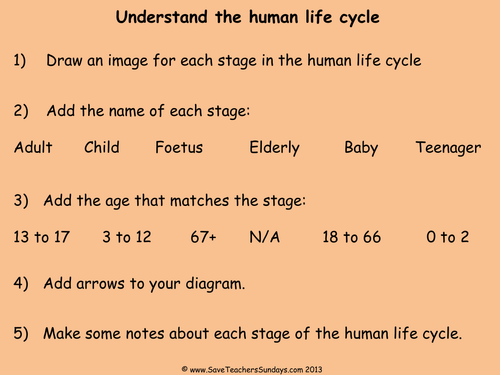 Human Life Cycle KS2 Lesson Plan, Explanation Text and Worksheet by