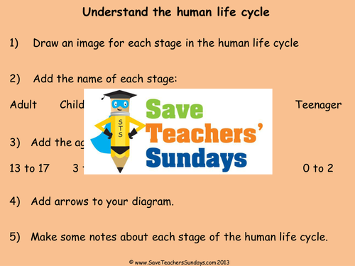Human Life Cycle KS2 Lesson Plan, Explanation Text and Worksheet by