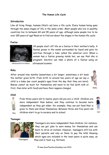 human life cycle ks2 lesson plan explanation text and worksheet