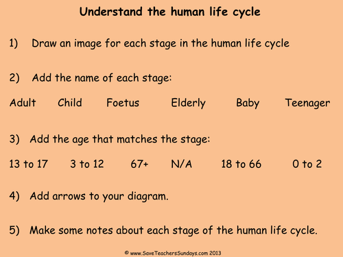 Human Life Cycle KS2 Lesson Plan, Explanation Text and Worksheet