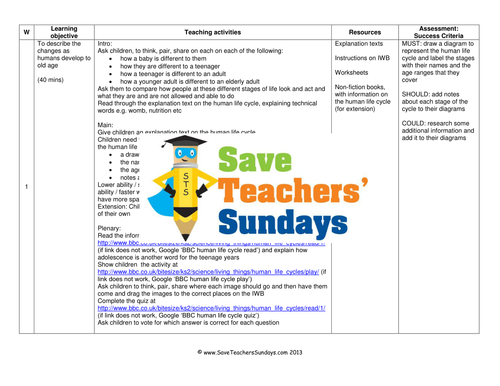 Human Life Cycle Lesson Plan