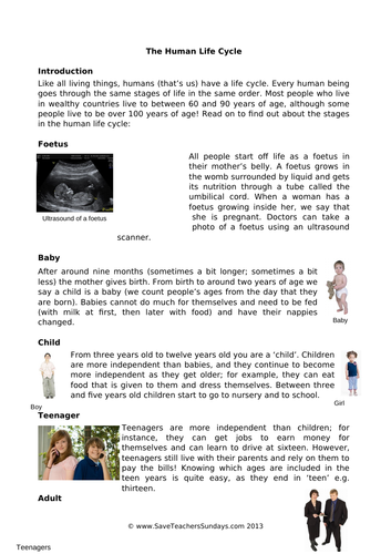 Human Life Cycle KS2 Lesson Plan, Explanation Text and Worksheet