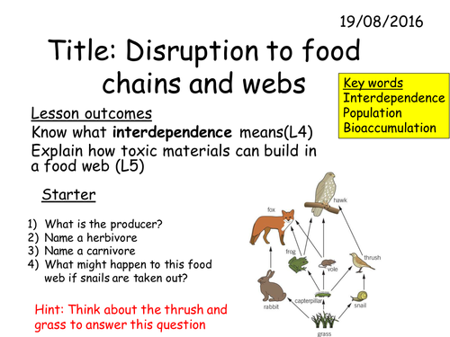 B2 2.8 Disruption to food chains and webs by kitipher Biology Diagrams