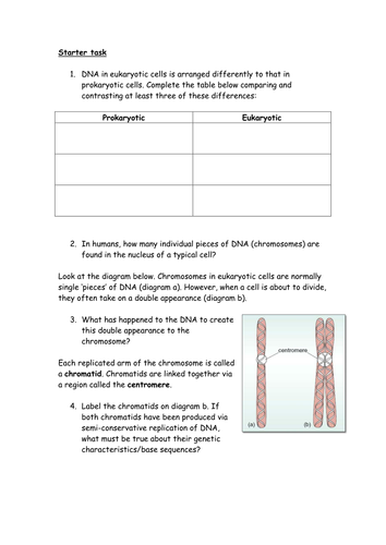 DNA in Eukaryotic and Prokaryotic cells