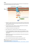 The second messenger model of hormones | Teaching Resources