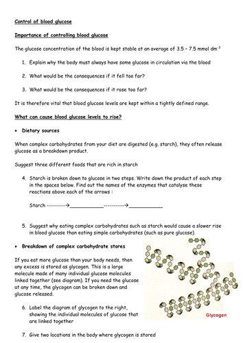 glycogenolysis free glucose worksheet cmrcarr  Teaching glucose blood  Resources Control UK by of