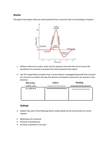 Action potential - starter/plenary exercise