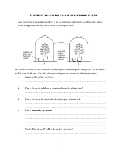 Investigating a factor that affects photosynthesis