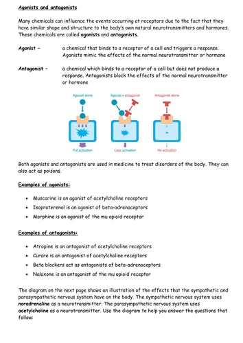 Agonists and antagonists - predicting the effect of drugs on the autonomic nervous system