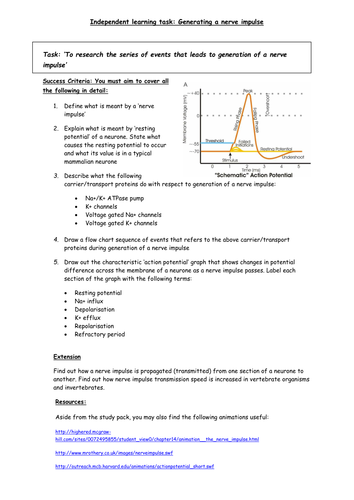 The Nerve Impulse Independent Research Exercise Teaching Resources