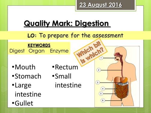 Journey of a Sandwich Digestion Quality Mark Assessment (FULL RESOURCE PACK)