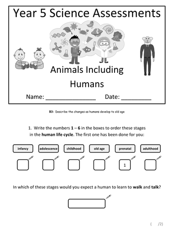 Year 5 Science Assessment: Animals, Including Humans | Teaching Resources