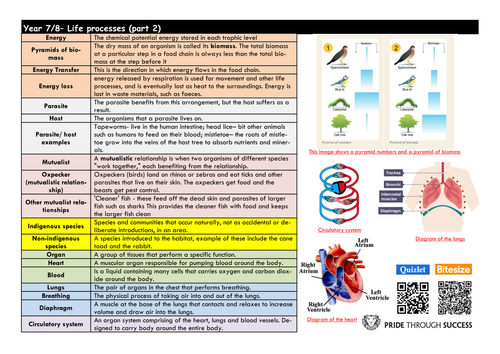 pdf, 251.2 KB