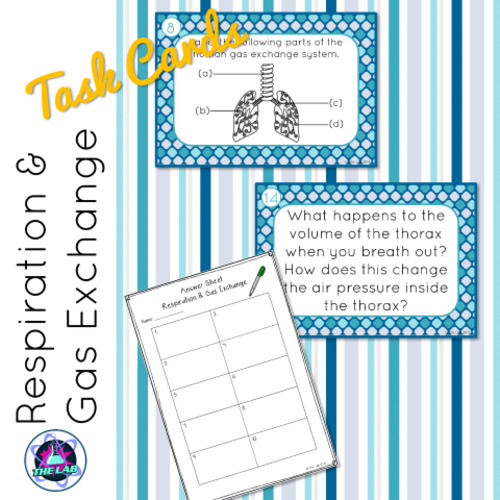 Respiration & Gas Exchange Task Cards