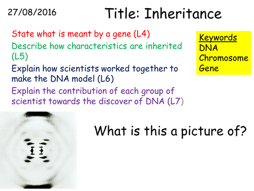B2 3.5 Inheritance | Teaching Resources