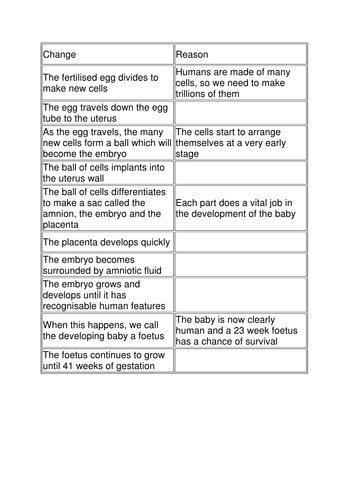 Changes from fertilisation