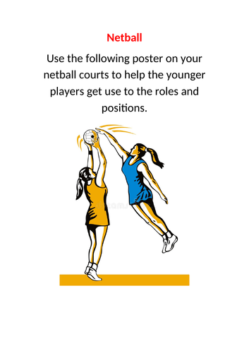 Bee Netball Lesson Plans