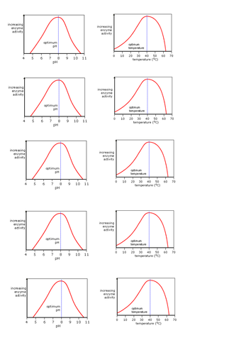 docx, 19.33 KB