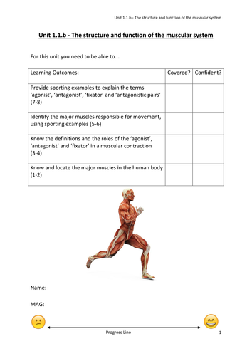 OCR GCSE PE (2016 - NEW) 1.1.b - The Structure and Function of the ...