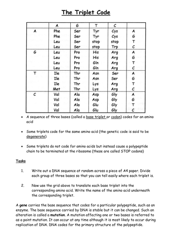 The Triplet Code - understanding how it works and the impact of mutation