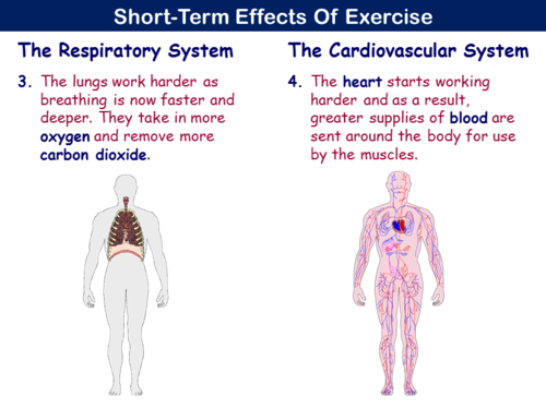 PE21ST - The Effects of Exercise | Teaching Resources