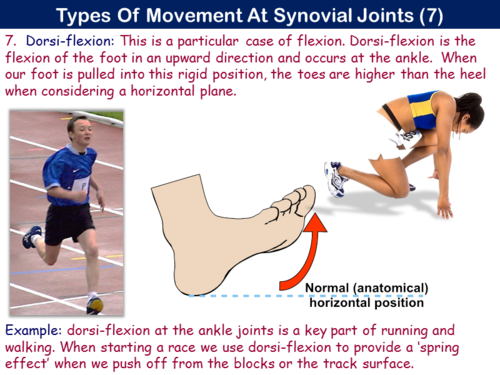 Pe21st Movement Analysis Planes And Axes Aqa Teaching Resources