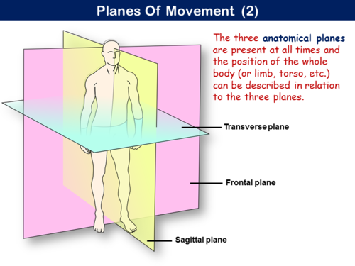 PE21ST - Movement Analysis - Planes & Axes (AQA) | Teaching Resources