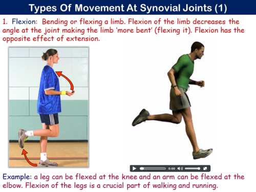 Pe21st Movement Analysis Planes And Axes Aqa Teaching Resources