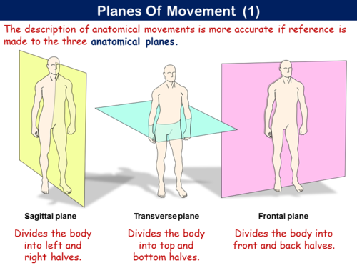 Pe21st Movement Analysis Planes And Axes Aqa Teaching Resources