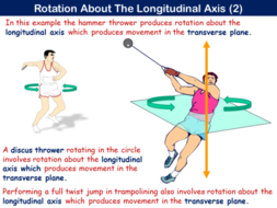 PE21ST - Movement Analysis - Planes & Axes (OCR) | Teaching Resources