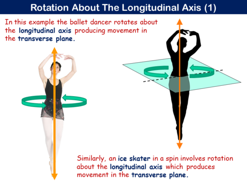 longitudinal axis movement