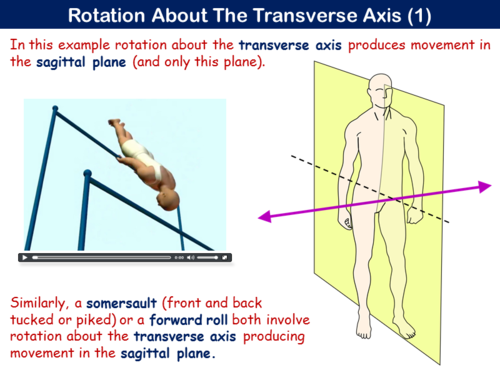 Pe21st Movement Analysis Planes And Axes Ocr Teaching Resources