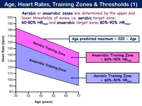 Pe32st The Principles Of Training 2 Aerobic And Anaerobic Fitness Training Zones And Heart 8111