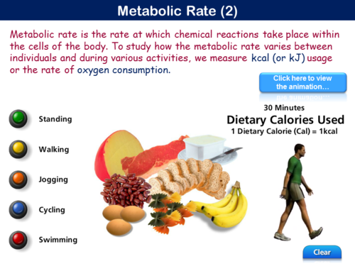 PE702ST - Nutrition & Exercise - 1 (Balanced Diet & Energy Needs) |  Teaching Resources