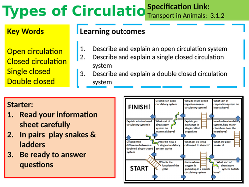 A Level Biology Types of Circulation Lesson & Activities | Teaching
