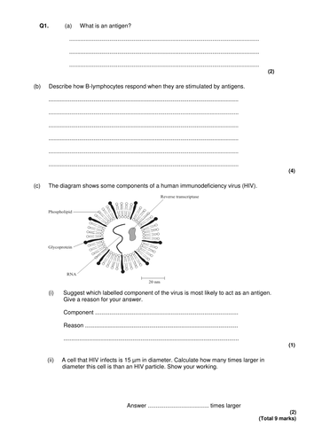 New AQA (2016) Year 1 Biology (AS) - Antibodies - Flipped Learning ...